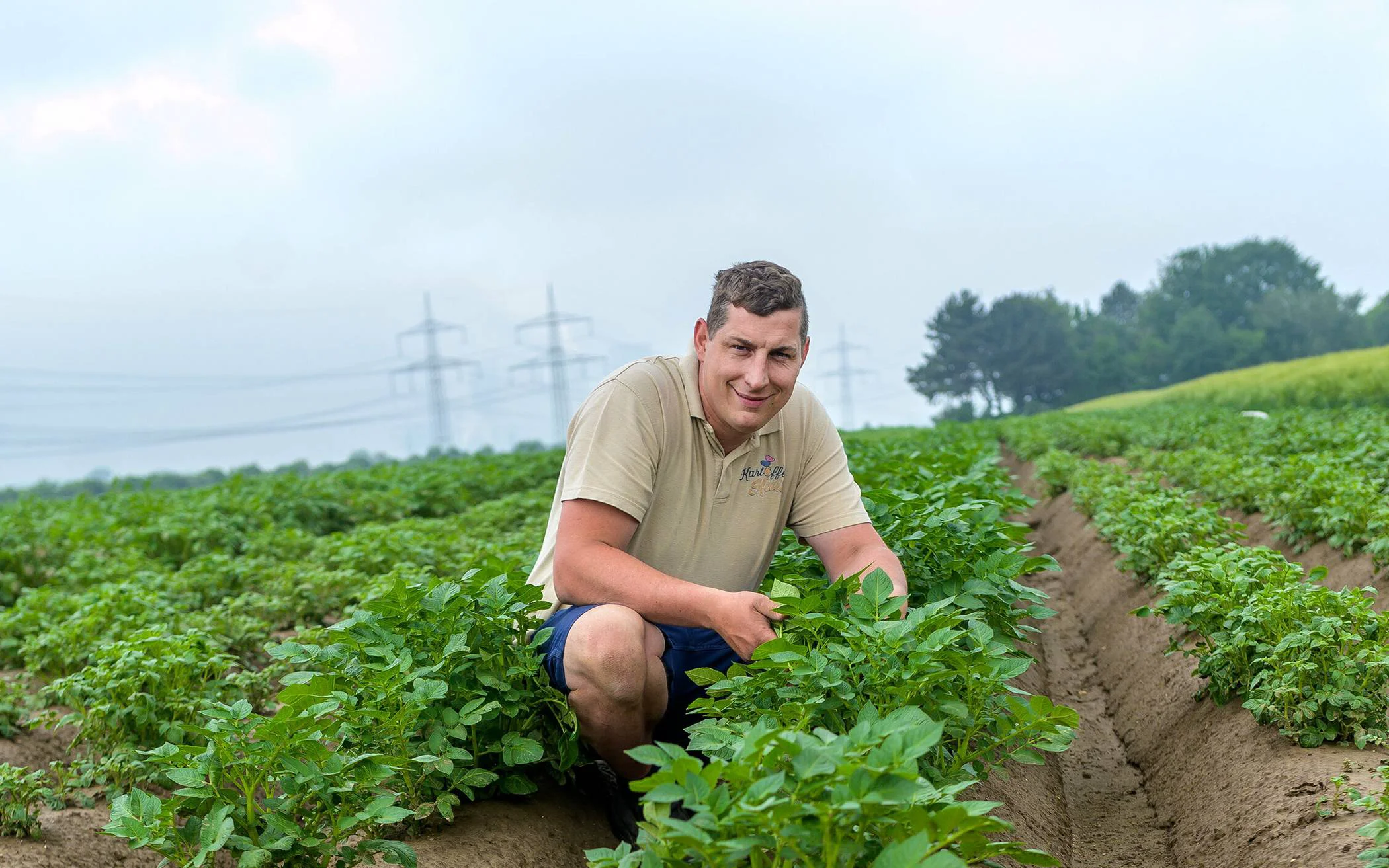 Heinrich hockend zwischen Kartoffelpflanzen