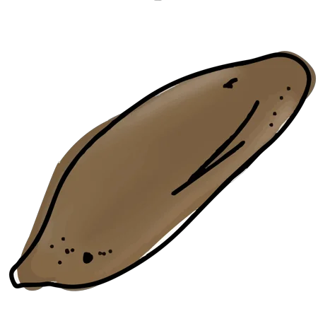 Icon mit Süßkartoffel