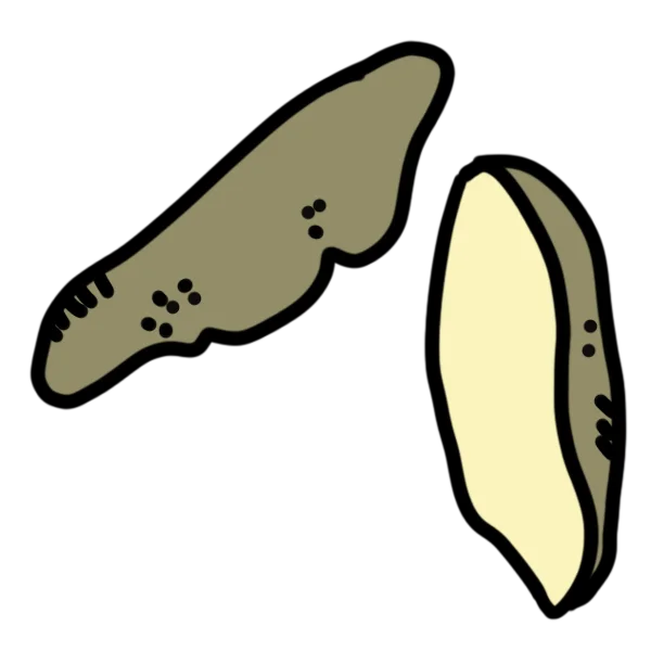 Icon mit Kartoffeln in braun mit hellem inneren.